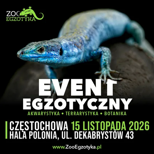 ZooEgzotyka - Częstochowa